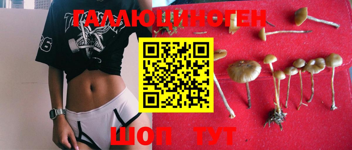 как найти закладки  Галлюциногенные грибы мицелий  Вход с VPN  Ростов-на-Дону 